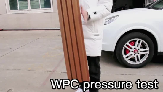 Chine Usine WPC Co-Extrusion Panneau de revêtement WPC Revêtement à lattes Panneau de la Grande Muraille