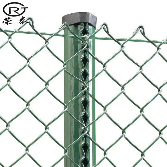 Clôture tissée de diamant de grillage Prix de clôture de jardin enduit de PVC